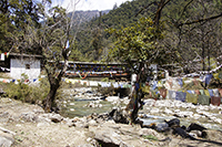 Cheri Temple Trail